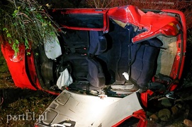 Fiestą wlecieli do ogródka działkowego