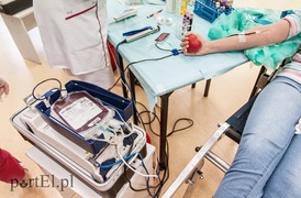 Krew w prezencie od gastronomika