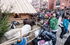 Na starówce unosi się już zapach świąt