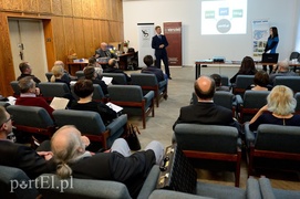 Elbląg zagłębiem internetowym