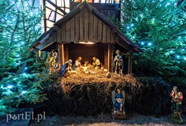 Skąd się wzięły szopki