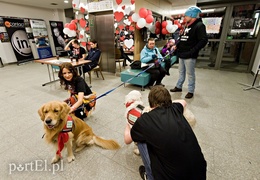 Udało się! Również i Elbląg zagrał z Orkiestrą!