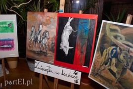 Zwierzęta w Galerii na Wyspie