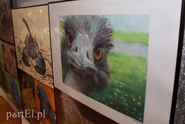 Zwierzęta w Galerii na Wyspie