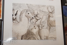 Zwierzęta w Galerii na Wyspie