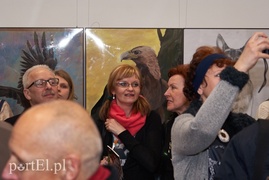 Zwierzęta w Galerii na Wyspie