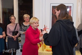 Zwierzęta w Galerii na Wyspie