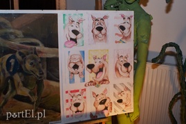 Zwierzęta w Galerii na Wyspie