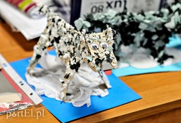 W Elblągu atrakcji dla dzieci nie brakuje