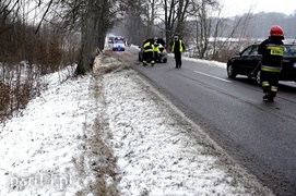 Dąbrowa Kolonia: oplem w dwa drzewa