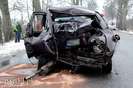 Dąbrowa Kolonia: oplem w dwa drzewa