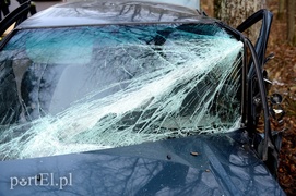 Nowe Monasterzysko: nissanem w drzewo