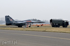 \"Odlotowi\" Belgowie w Królewie Malborskim