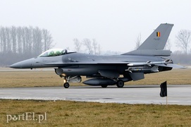 \"Odlotowi\" Belgowie w Królewie Malborskim