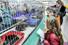 One też chcą mieć własny dom