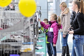 One też chcą mieć własny dom