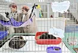 One też chcą mieć własny dom One też chcą mieć własny dom