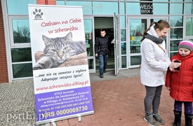 One też chcą mieć własny dom