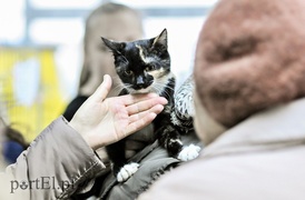 One też chcą mieć własny dom One też chcą mieć własny dom