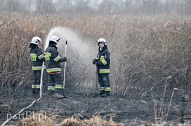 Groźny pożar traw