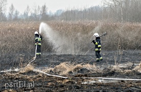 Groźny pożar traw