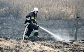 Groźny pożar traw