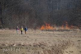 Płonęły trawy w Kadynach