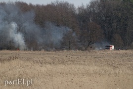 Płonęły trawy w Kadynach