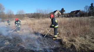 Groźny pożar traw na przedmieściach