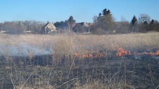 Groźny pożar traw na przedmieściach