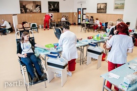 W gastronomiku popłynęły litry krwi