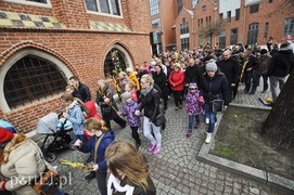 Dziś Niedziela Palmowa