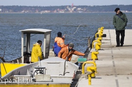 Tramwaj wodny nie dla Elbląga