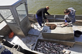 Tramwaj wodny nie dla Elbląga