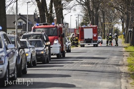 Mazdą uderzył w drzewo. Auto spłonęło
