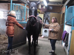 Już dziś wybierz zawód!