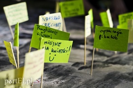Co należy zmienić w parku Modrzewie?