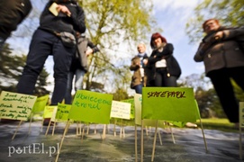 Co należy zmienić w parku Modrzewie?