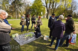 Co należy zmienić w parku Modrzewie?