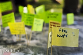 Co należy zmienić w parku Modrzewie?