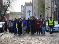 Elblążanie w drodze do Świętego Gaju