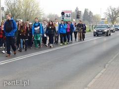 Elblążanie w drodze do Świętego Gaju