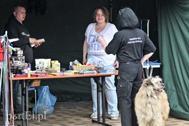 Łapy, łapy, cztery łapy...