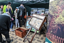 Łapy, łapy, cztery łapy...