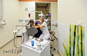 Czwarty tydzień Metamorfozy