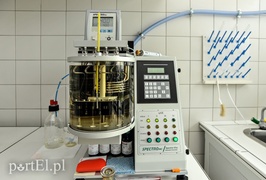 Z nauką za pan brat