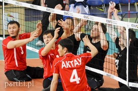 Elbląg i Japonia ze złotymi medalami