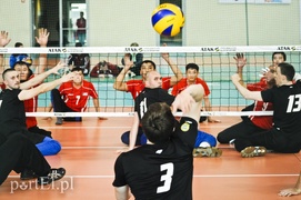 Elbląg i Japonia ze złotymi medalami