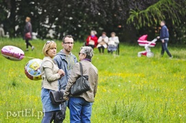 Chcą ożywić park Modrzewie