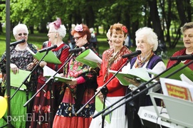 Festyn w parku Modrzewie zdjęcie nr 106371